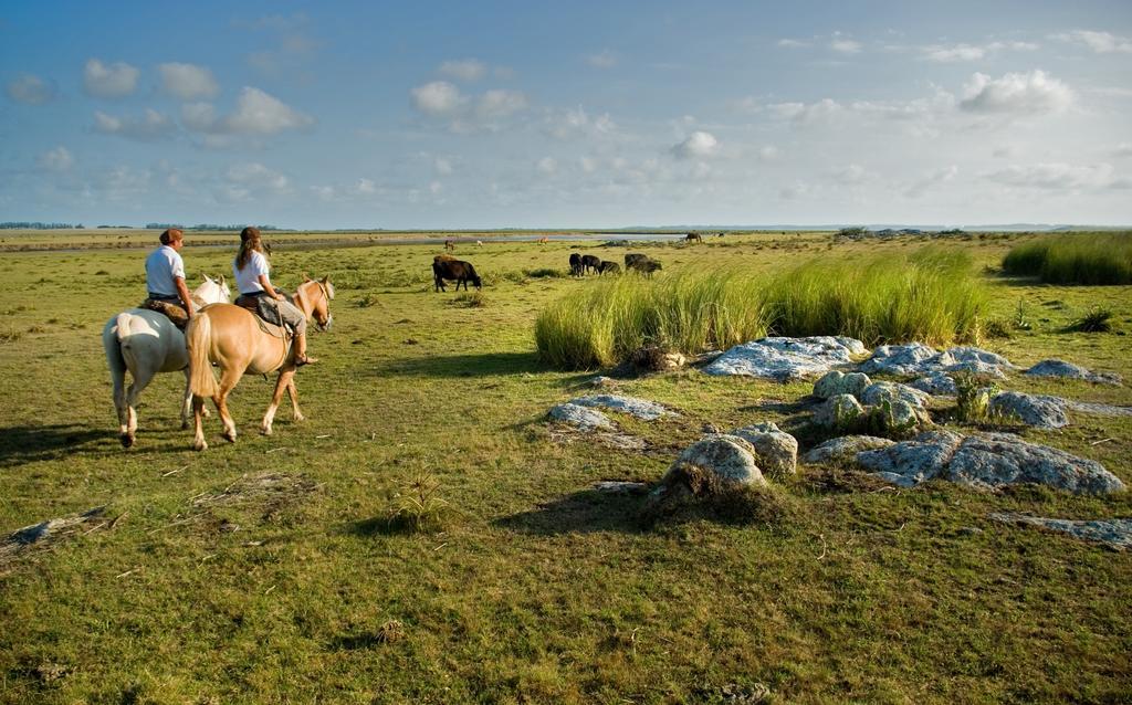 Estancia Vik Jose Ignacio Hotel Exterior photo